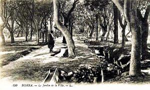 Biskra - Jardin de la Ville